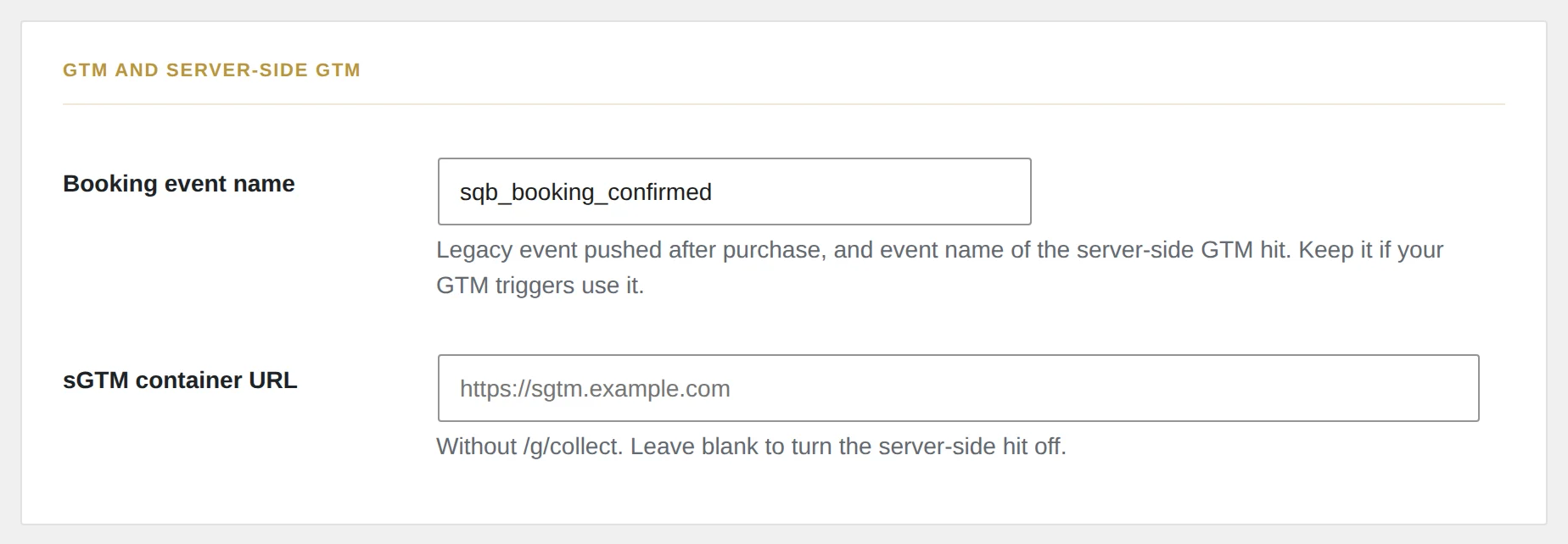 GTM und Server-Side GTM.