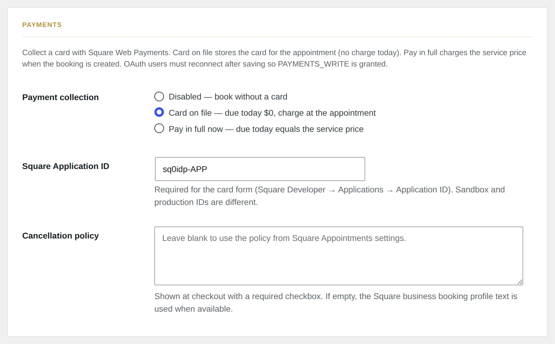 Onglet Payments : carte enregistrée ou paiement complet avec Square Web Payments.