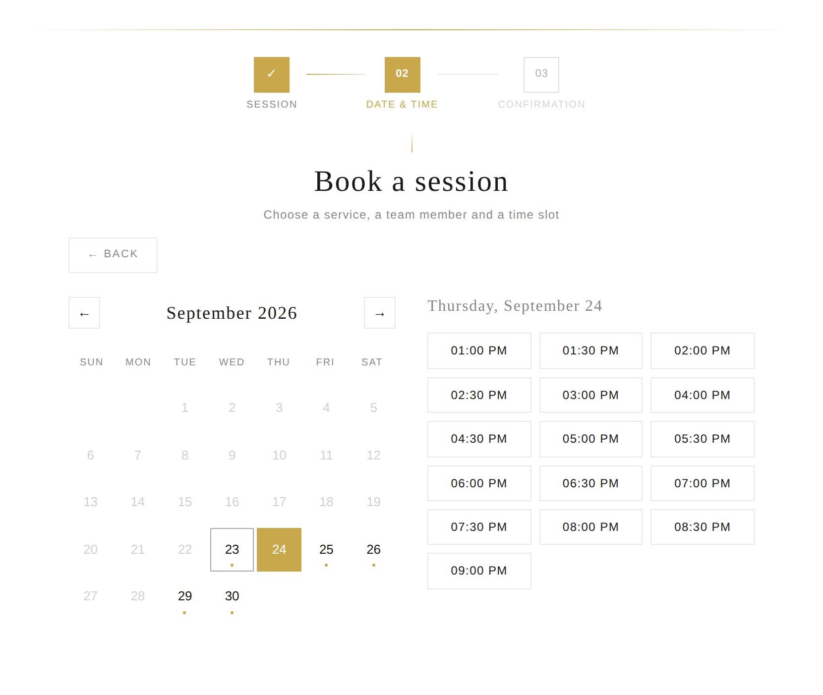 Square booking widget on WordPress, Flat theme
